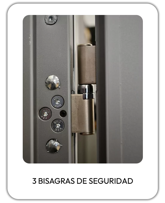 3-bisagras-de-seguridad-6639126da4542