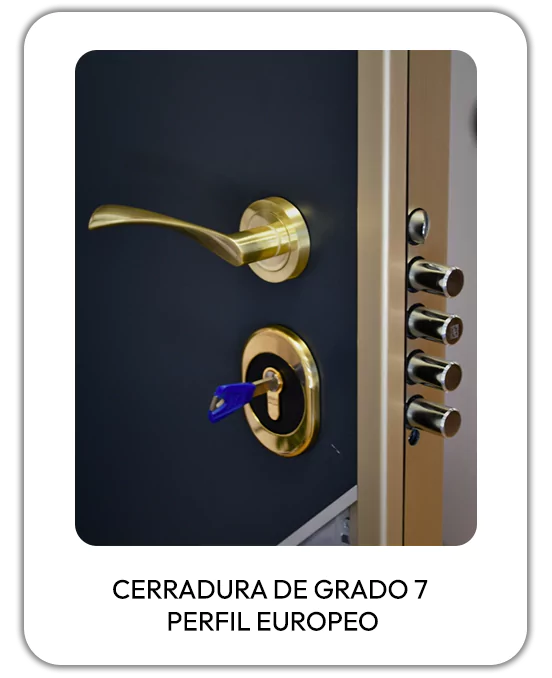 cerradura-de-grado-7-perfil-europeo-6639d178b9402