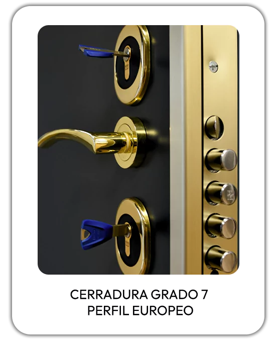 cerradura-grado-7-perfil-europeo-663a0e390e7da
