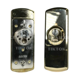 Escudo ABUS placa vertical dorado brillo