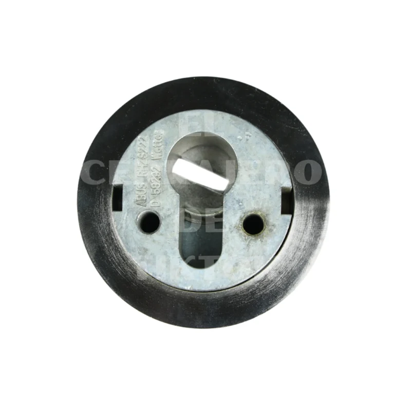 Escudo ABUS redondo plata