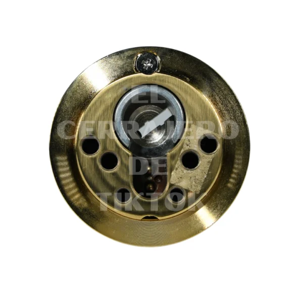 Escudo HOPLON redondo dorado