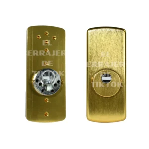 Escudo ROK VERTICAL de seguridad DISEC dorado