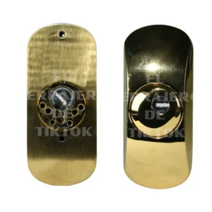 Escudo SQDO vertical dorado LINCE