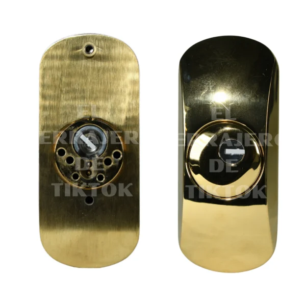 Escudo SQDO vertical dorado LINCE