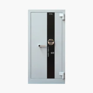 CAJA FUERTE CARTAGO 125-E BTV