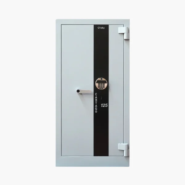 CAJA FUERTE CARTAGO 125-E BTV